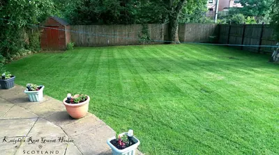 a yard with three potted plants on the grass at Knight's Rest Guest House in Airdrie
