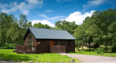a small cabin in a field of grass with trees at Loch Aweside Forest Cabins in Dalavich