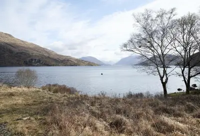 a body of water with a tree and some mountains at Port na Mine in Bonawe