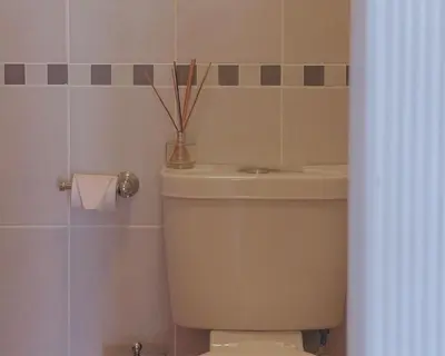 a bathroom with a toilet and a vase with sticks at Honeysuckle Cottage in Killean