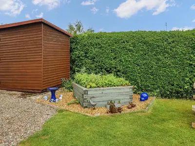 a garden with a wooden shed next to a hedge at Ivy Cottage in Crieff