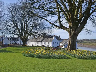 a bunch of flowers in a field with trees and houses at Stables Cottage-Uud in Corsock