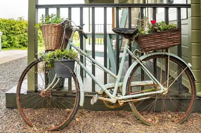 a bike with two baskets and two plants on it at Torr Lodge- luxury log cabin with private hot tub! in Ballycastle