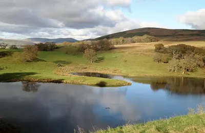 a lake in the middle of a grassy field at Jane Welsh Cottage in Thornhill