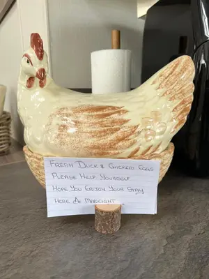 a vase shaped like a chicken on a counter with a sign at Maneight Luxury Lodge with hot tub in New Cumnock