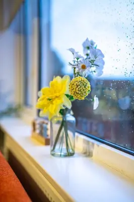a vase of flowers sitting on a window sill at Livi House in Livingston