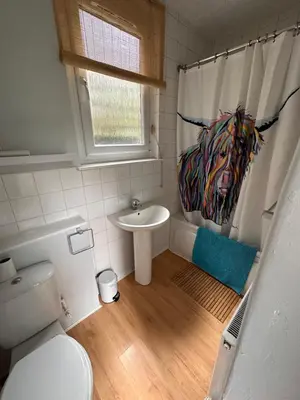 a bathroom with a toilet and a horse shower curtain at Castle Brae Apartment in Stirling