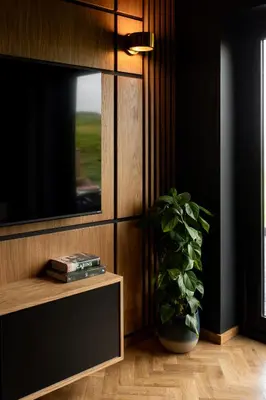 a vase with a plant sitting next to a tv at The Black Cabin Oban in Oban