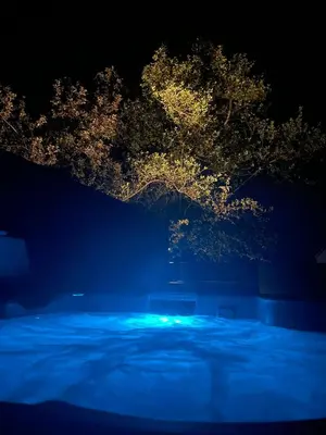 a tree lit up at night with blue lights at Beach House Pods in Dunoon