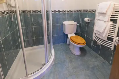 a bathroom with a toilet with a shower at The Cedars Guest House in Dunoon