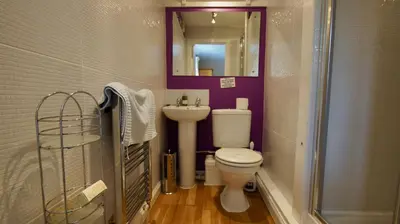 a bathroom with a toilet and a sink and a mirror at View Cottage in Lochearnhead
