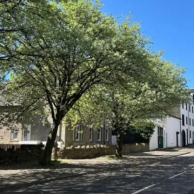 Camisila