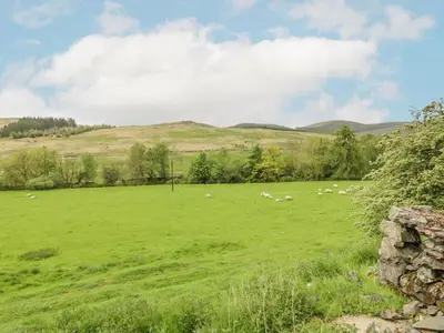 a herd of sheep grazing in a green field at High Auchenbrack in Thornhill