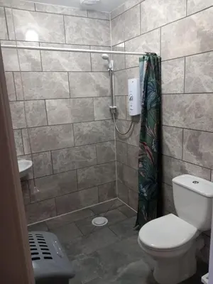 a bathroom with a toilet and a shower at The WEE HOUSE Balvicar Isle of Seil in Balvicar