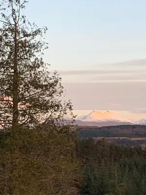 a tree and a snow covered mountain in the distance at Tawny Owl Pod with Hot Tub in Oban