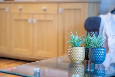 two vases with plants in them sitting on a counter at The Brigg in Coatbridge
