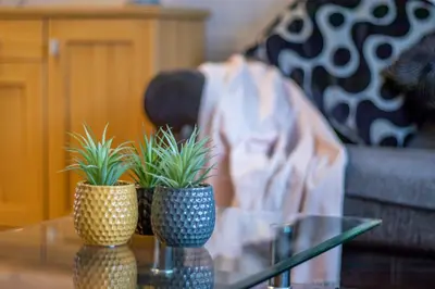 three vases on a glass table with plants in them at The Brigg in Coatbridge