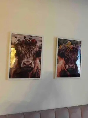 two pictures of a cow on a wall at 15 min drive to airport 20 min to Loch Lomond and city center in Old Kilpatrick