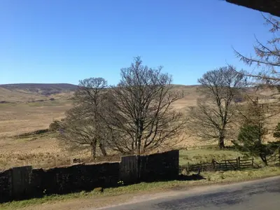 a fence on the side of a field with trees at Langside in Stirling