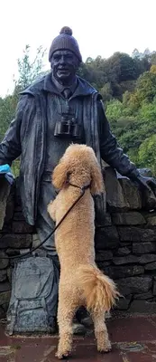 a dog on a leash in front of a statue at Spacious 2 bedroom house on the edge of Balloch in Balloch