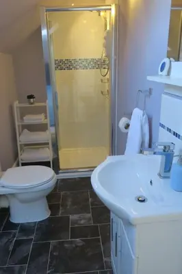 a bathroom with a shower and a toilet and a sink at Cumbrae View House (Licence no NA00109F) in Largs