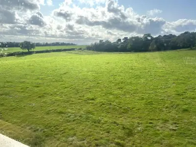 a large field of green grass with clouds in the sky at Langside apartments in Newhouse