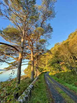 a dirt road with trees on the side of a hill at The Lodge in Lochgilphead