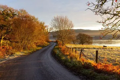 a dirt road next to a field with a fence at Tarbert Country Manor in Tarbert