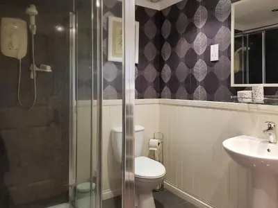 a bathroom with a shower and a toilet and a sink at Leven Lodge 3 - Uk46045 in Balloch