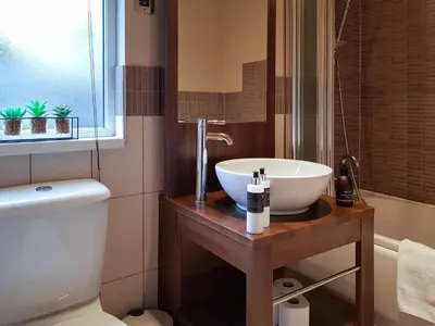 a bathroom with a white sink and a toilet at Kingfisher Lodge - Uk46046 in Balloch