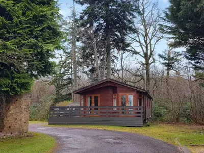 a small cabin in the middle of a road at Kingfisher Lodge - Uk46046 in Balloch