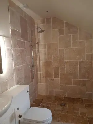 a bathroom with a shower and a toilet and a sink at Station House Lanark Bed and Breakfast in Lanark
