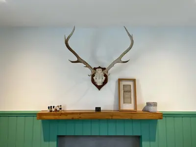 a deer head on a wall above a fireplace at Croft 11 Clovullin in Ardgour