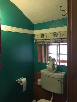 a bathroom with a toilet and a green wall at Moorlands in Helensburgh