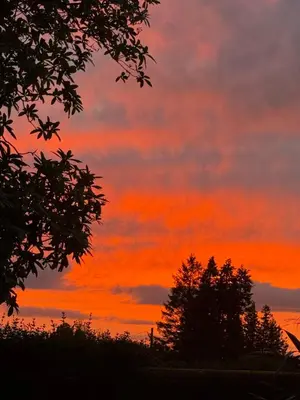 an orange sunset with trees in the foreground at Moorlands in Helensburgh