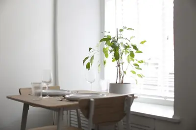 a dining room table with a potted plant on it at Bank Place in Crieff