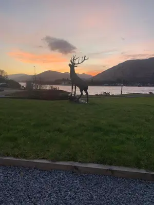 a statue of a deer in a field at sunset at Scottish Highland house Fort William in Corran