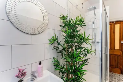 a bathroom with a sink and a mirror and a plant at Traditional 1-Bed Flat in Southside (Hampden/Shawlands) in Glasgow