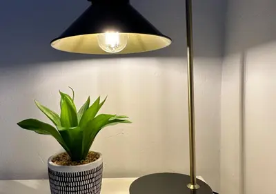 a lamp and a potted plant on a table at Trendy West End Apartment, Glasgow in Glasgow