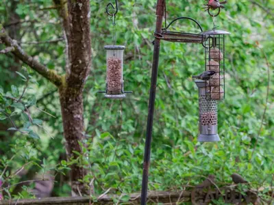 two bird feeders are hanging from a tree at 1 Bed in Callander oc-pe173 in Strathyre