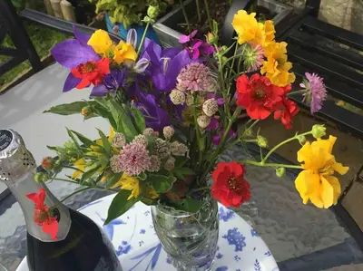a vase filled with colorful flowers on a table at Wardie Garden Cottage in Edinburgh