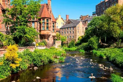 a river with swans in a city with buildings at Complete City Centre Comfort in Edinburgh