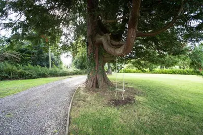 a swing hanging from a tree next to a road at Kilmaronock Manse B&B in Drymen
