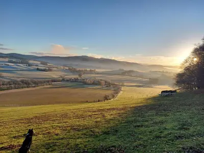 a dog standing on top of a green field at The New Farmhouse in Biggar