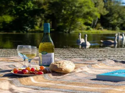 a bottle of wine and a plate of fruit and bread at Beautiful Cosy Holiday Home in Gorgeous Location - Pass the Keys in Beattock