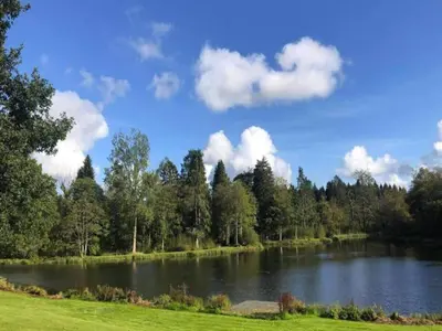 a large lake with trees and clouds in the sky at Beautiful Cosy Holiday Home in Gorgeous Location - Pass the Keys in Beattock