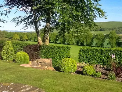 a garden with a tree and some bushes at The Clachan Bothy in Drumpark