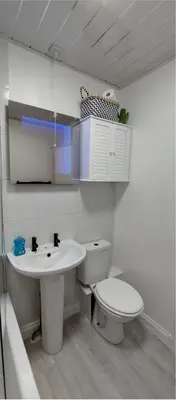 a white bathroom with a toilet and a sink at Paisley Pattern Flat West End UWS UNI GLA Glasgow Airport in Elderslie