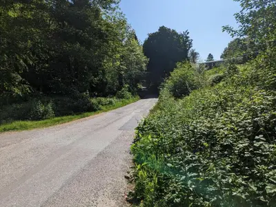 an empty road with trees on either side at The Ardennes 66 in Dunoon