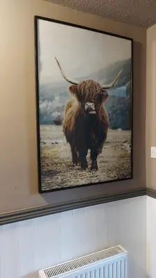 a painting of a bull with horns on a wall at Scottish Nest in the heart of East Kilbride 10mins from Hairmyres Hospital in East Kilbride